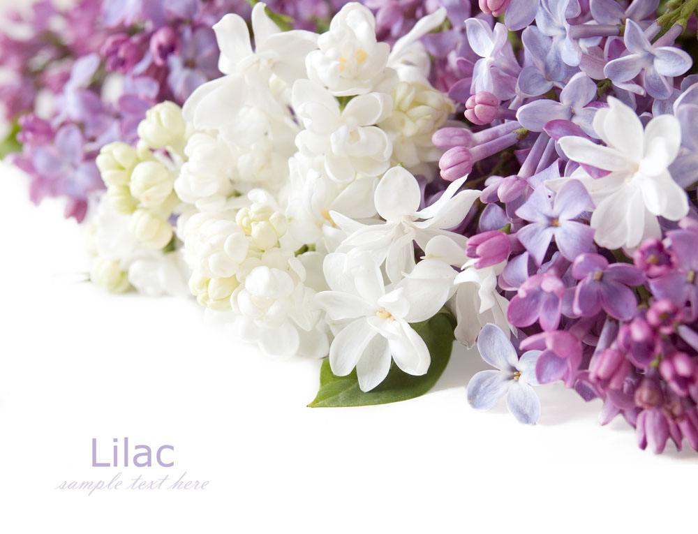 喜讯!2017七夕节的一份中标通知书 喜讯!2017七夕节的一份中标通知书