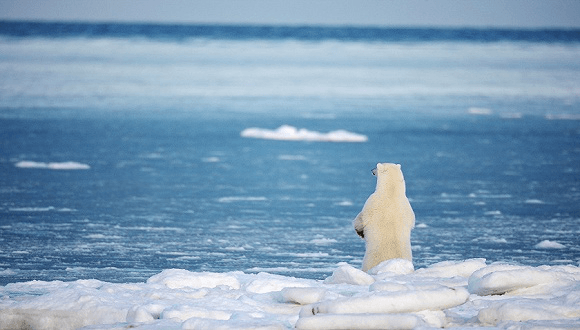 未来50年能源系统格局将大变,江苏江河顺应时局,生态发展! 未来50年能源系统格局将大变,江苏江河顺应时局,生态发展!